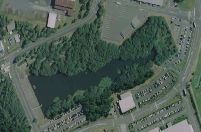 結いの森全体図