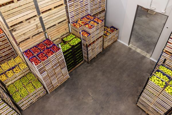 automobile production line