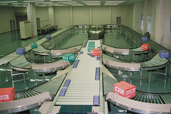 Case sortation system