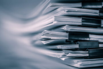 Vision and Four-Year Business Plan