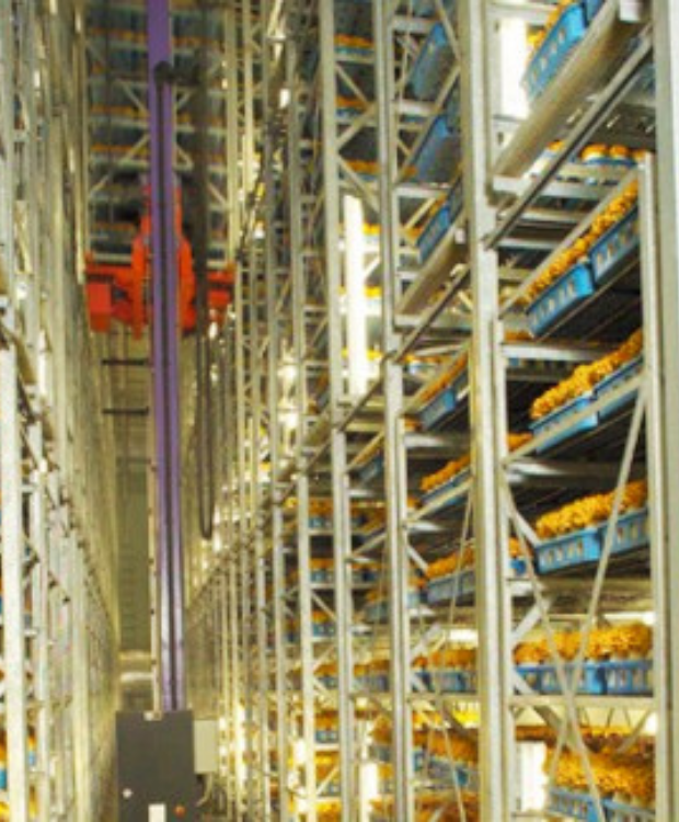 AS/RS - Vertical Farming